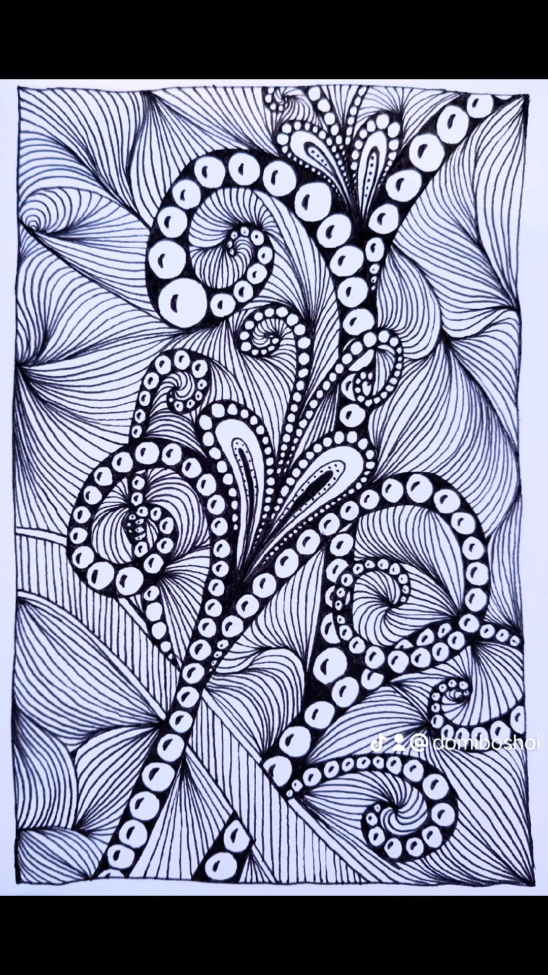 Intricate Fineliner Zentangle Doodle Art