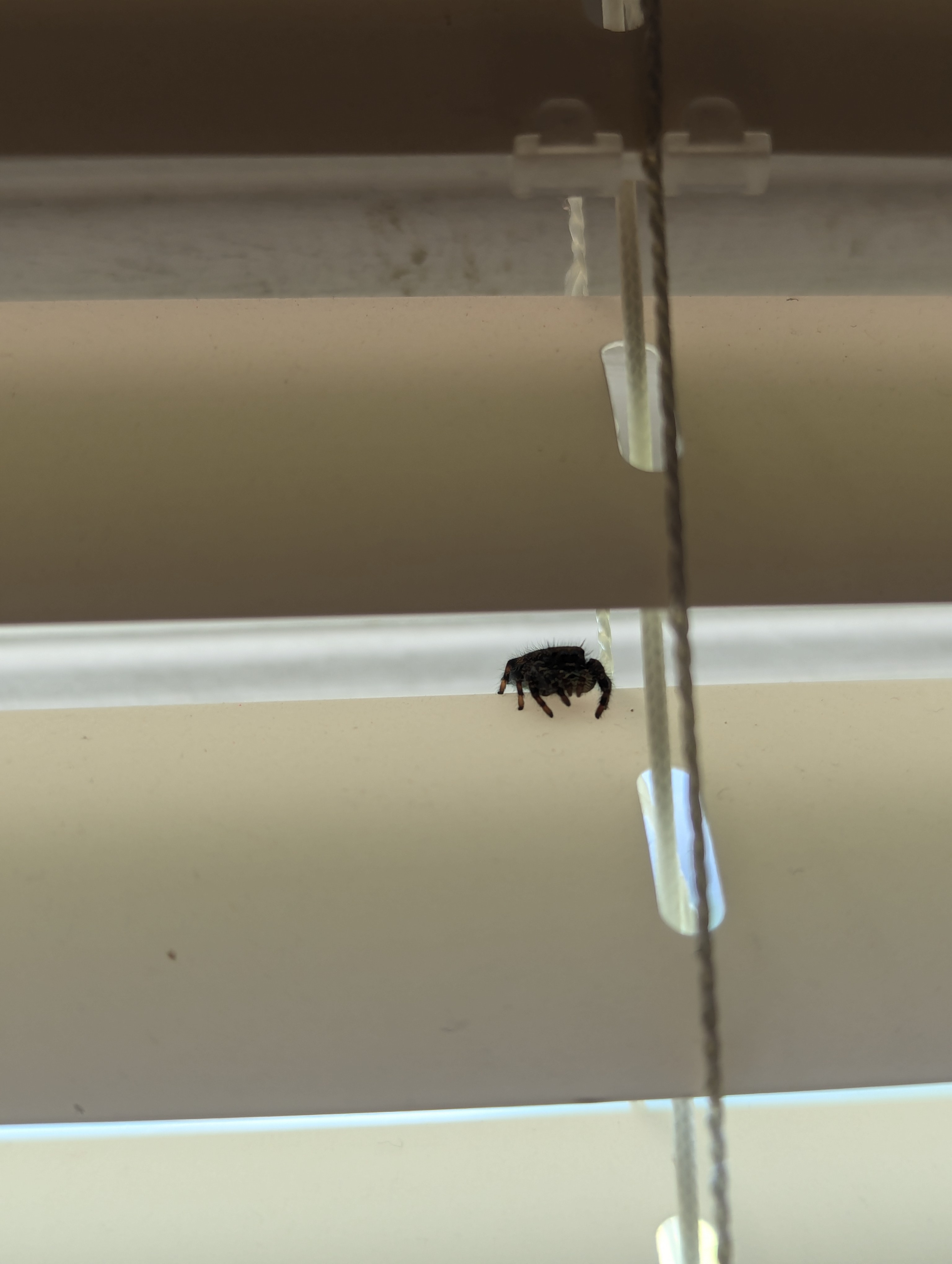Adorable Little Bugs That Will Melt Your Heart
