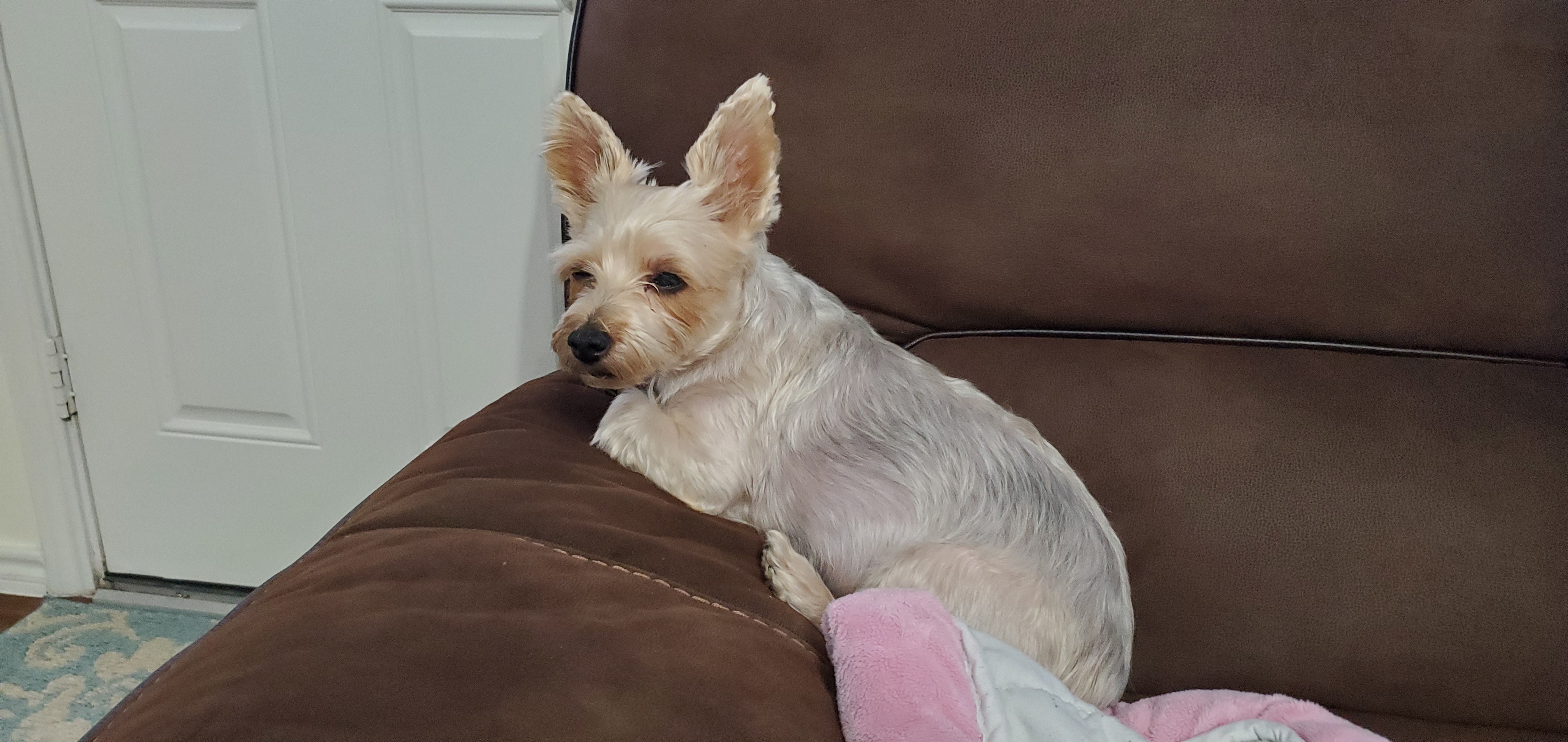 Sweet Momo: My Favorite Spot