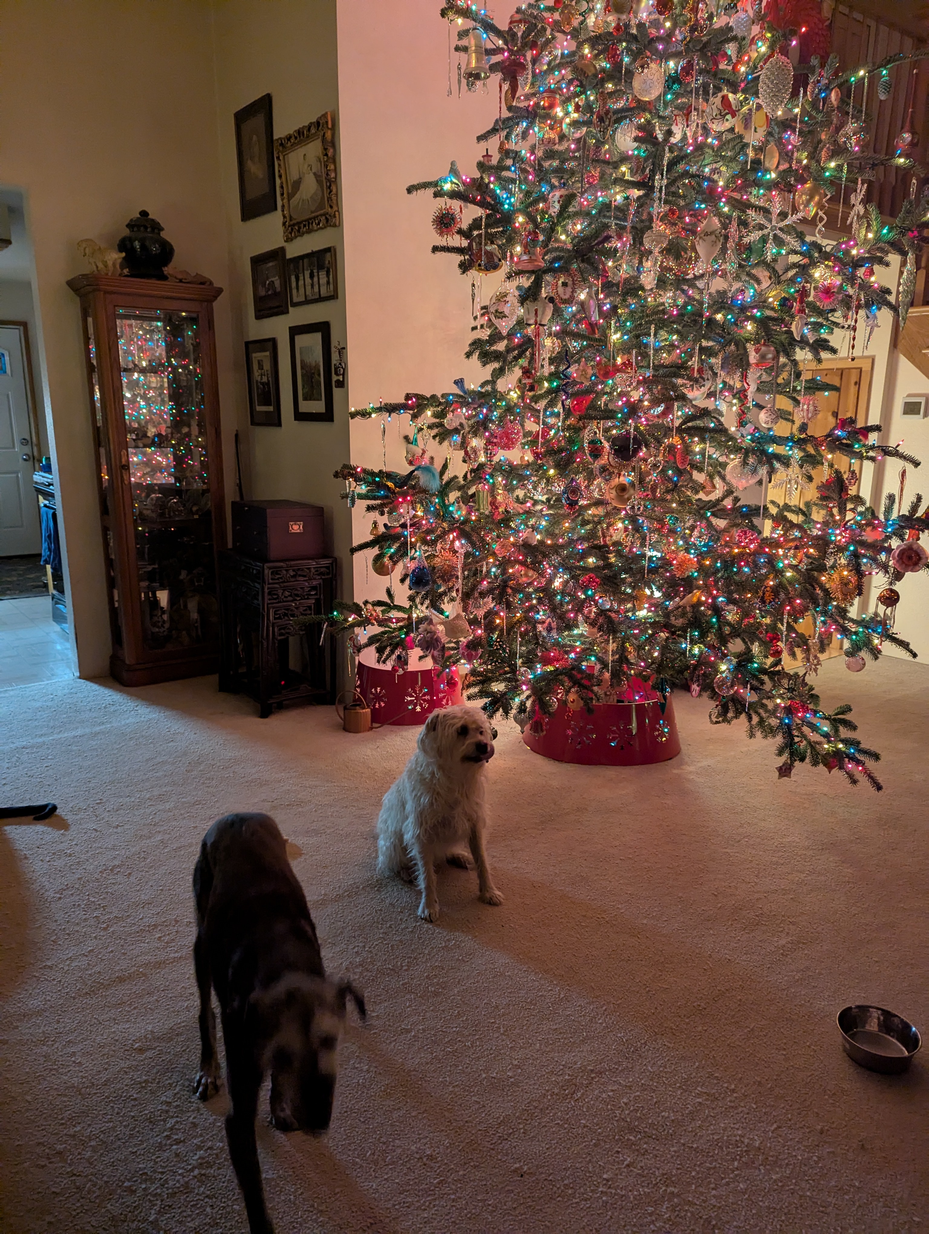 Wishing Everyone a Merry Christmas!