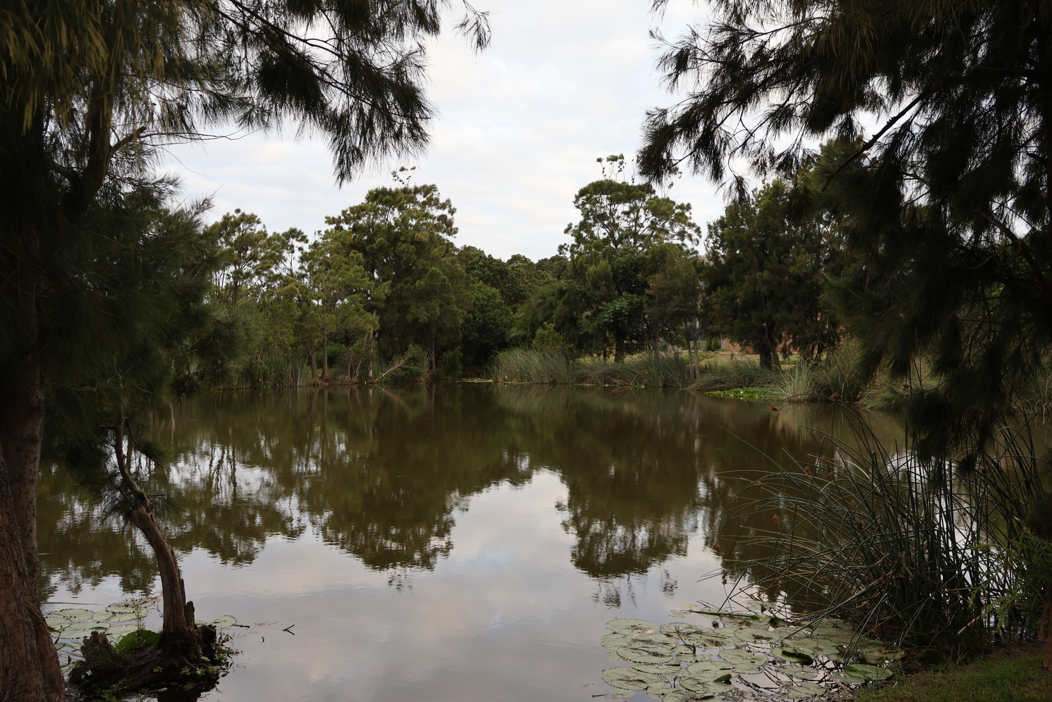 Discovered this peaceful and serene spot!