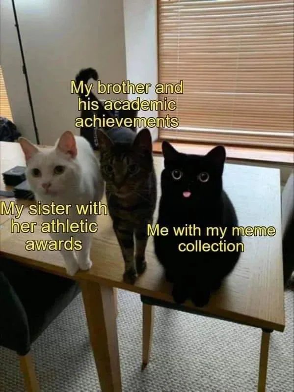 So, are you winning at life, son?