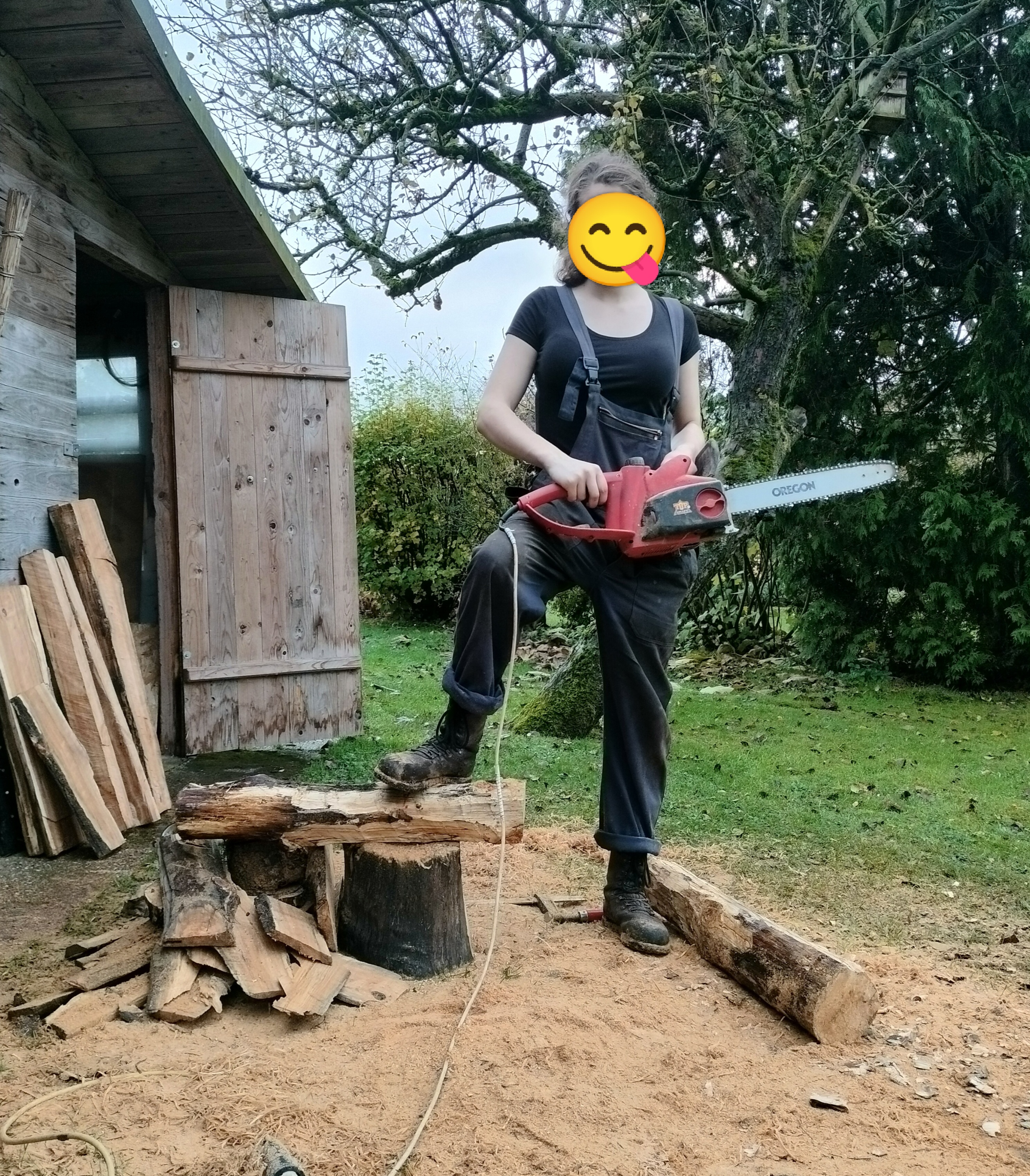 Which do you prefer: Adventurous Lesbian Lumberjills or Crafty Sapphic Blacksmiths?