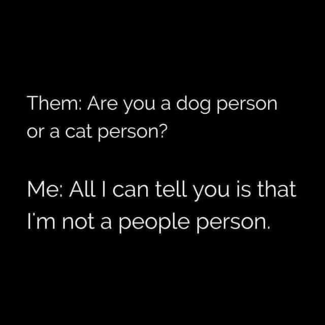 Doggo Shenanigans: A Dump of Cuteness