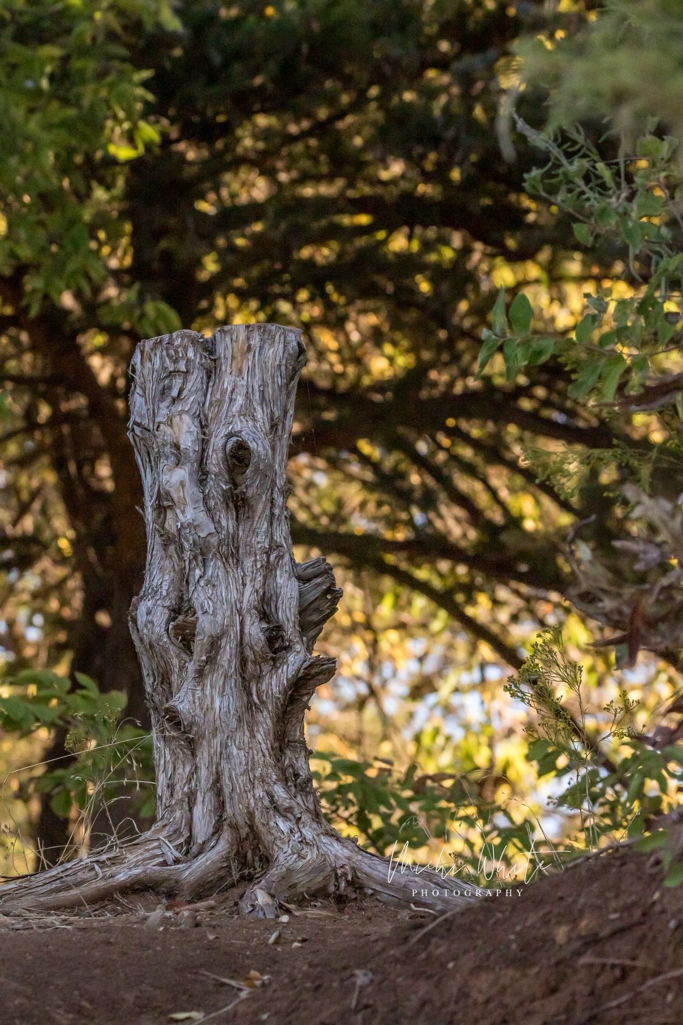 Feeling Stumped? Join the Club!