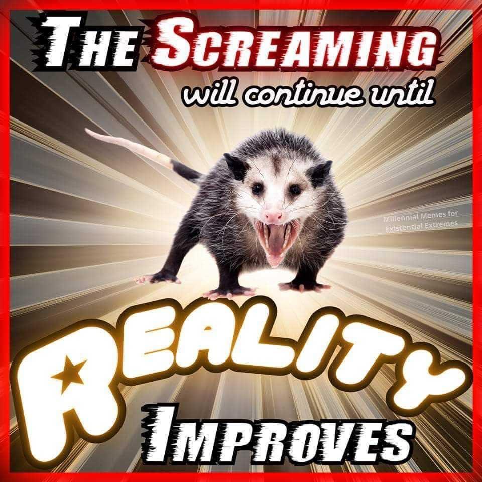 A Little Bit of Everything: Meme DUMP Edition