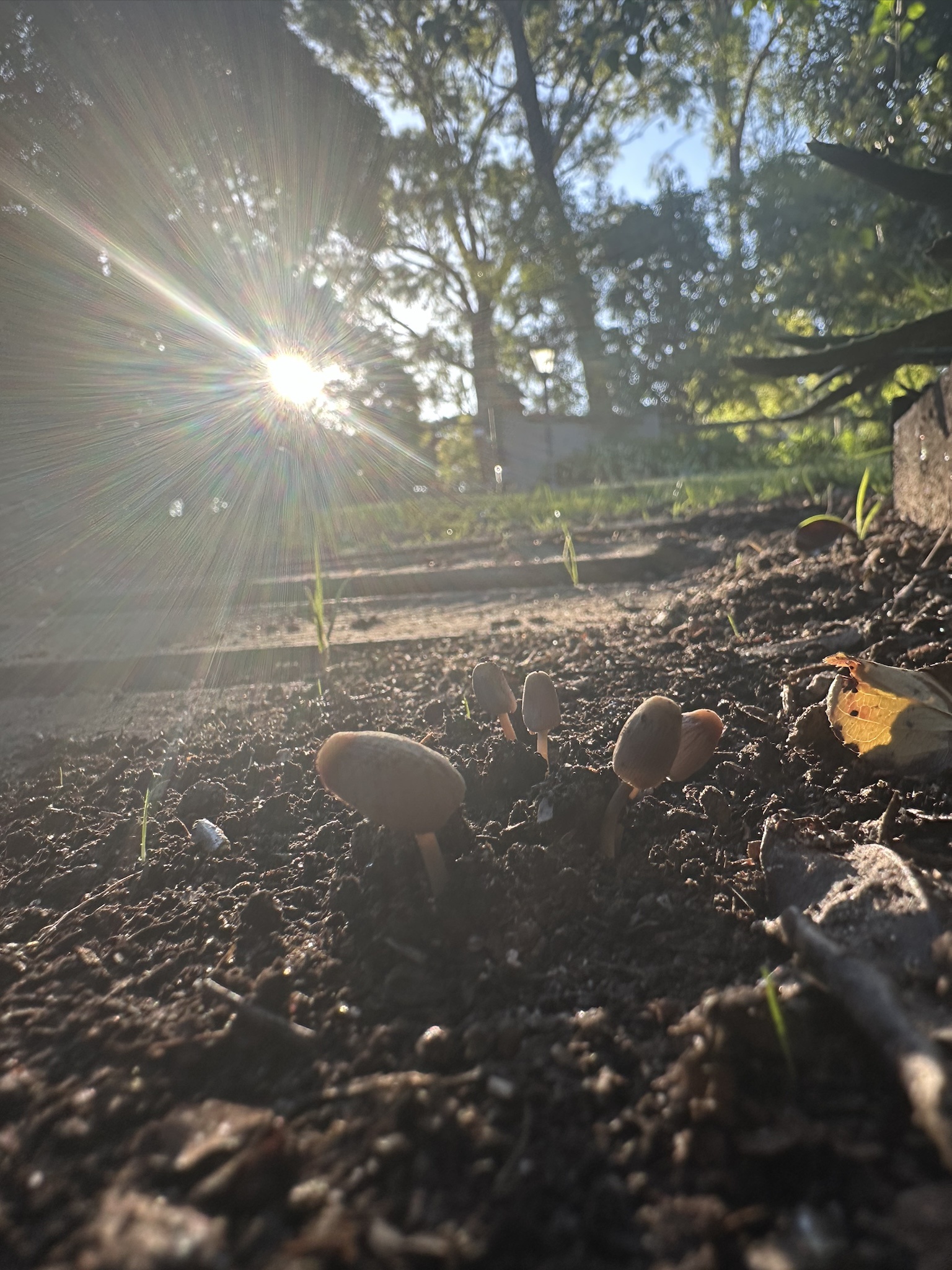 The first glimpse of sunshine brings joy to these adorable little creatures