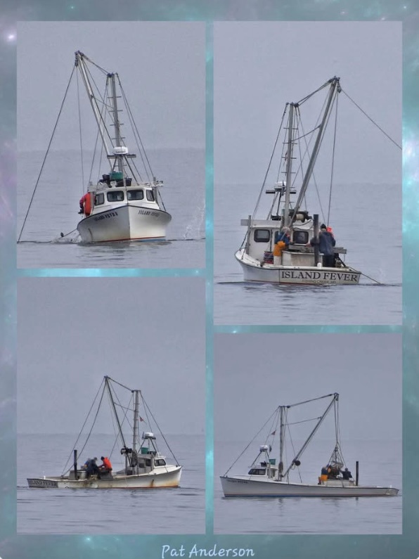 The hardworking oyster dredge boats in action.