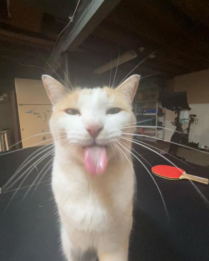 Just a Simple Hello