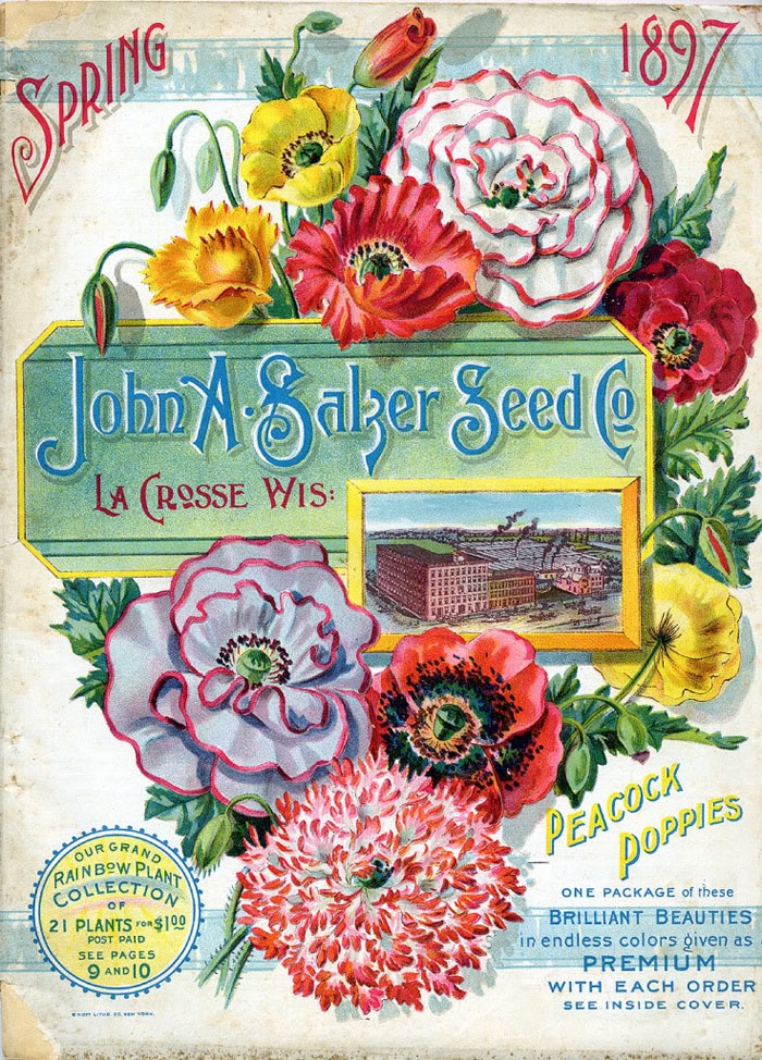 A Glimpse into the 1897 Seed Catalog