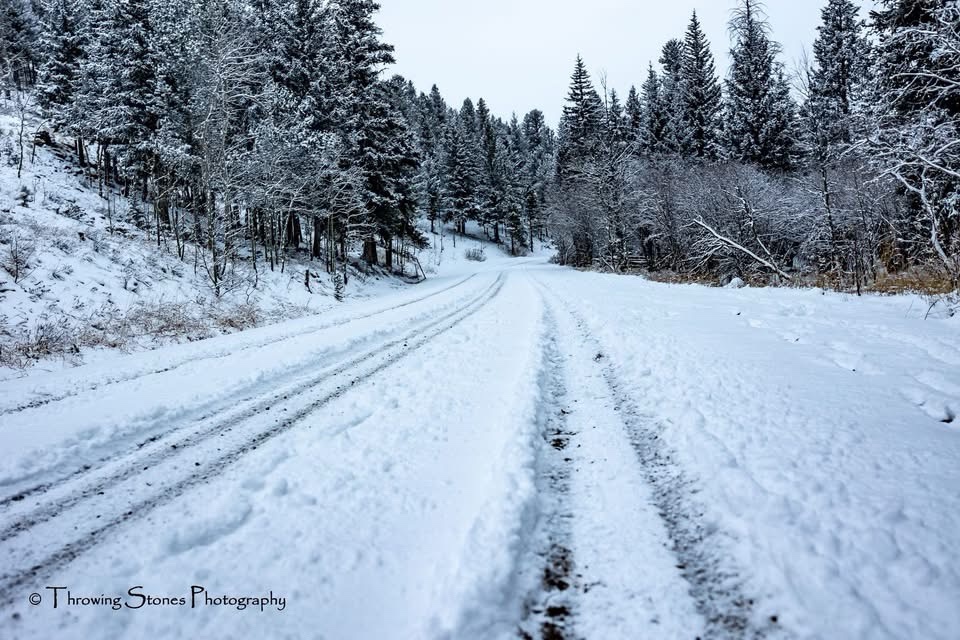 A Blanket of Snow Covers Everything