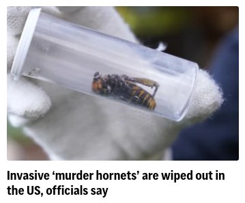 How about some uplifting news to brighten your day?