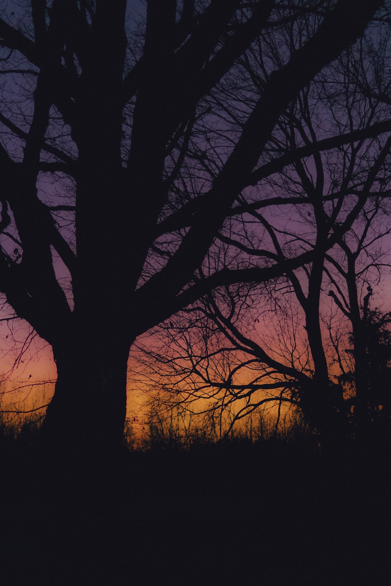 Breathtaking Michigan Sunset