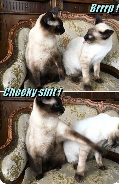 A memorable slap that you'll never forget!