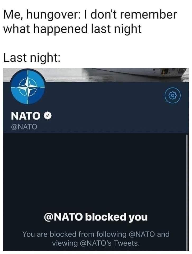 Understanding NATO: A Quick Overview