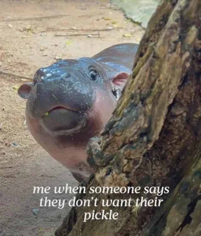 Are You Going to Finish That?