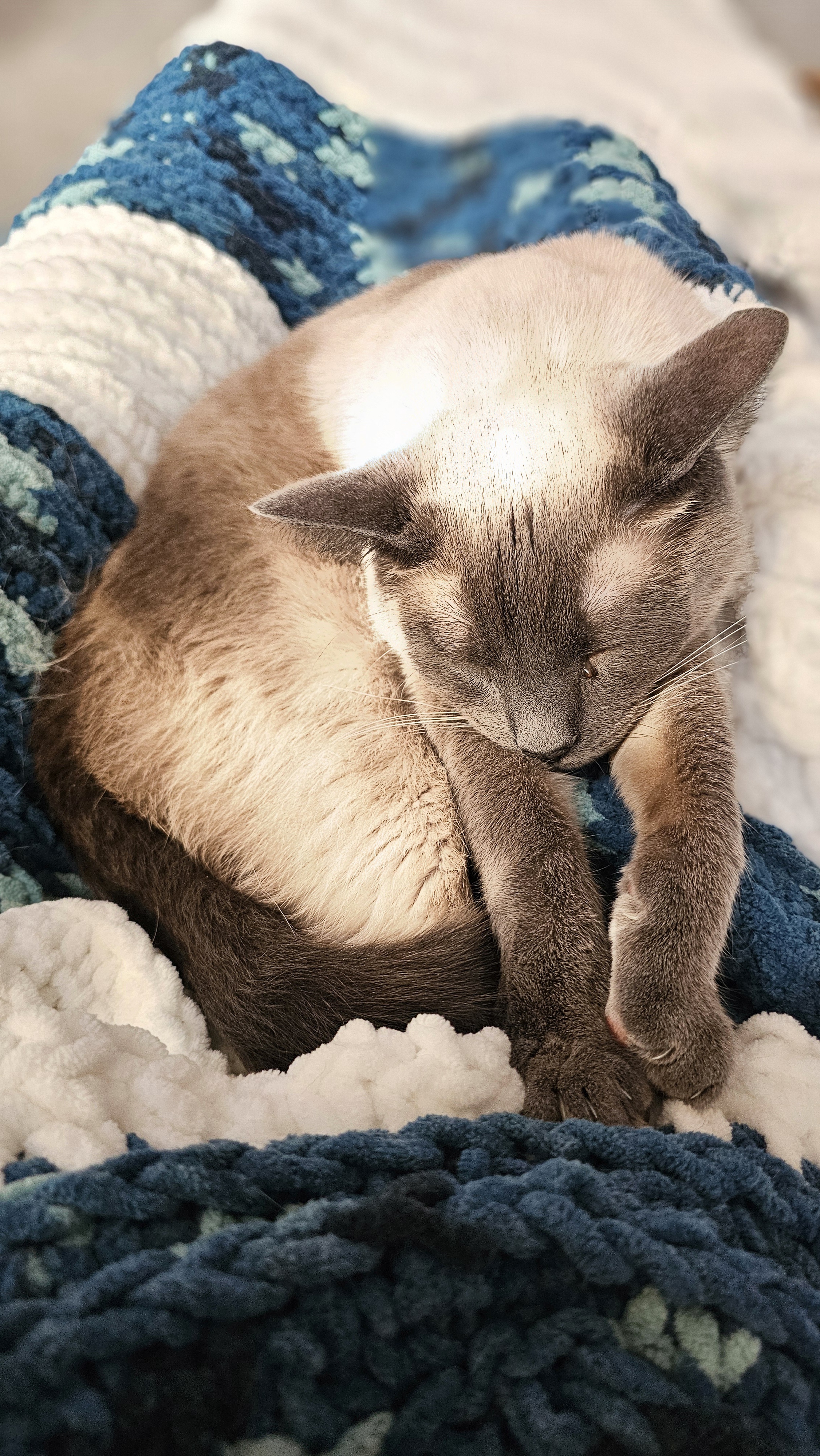Adorably Sleepy Babies in Their Dreamy State