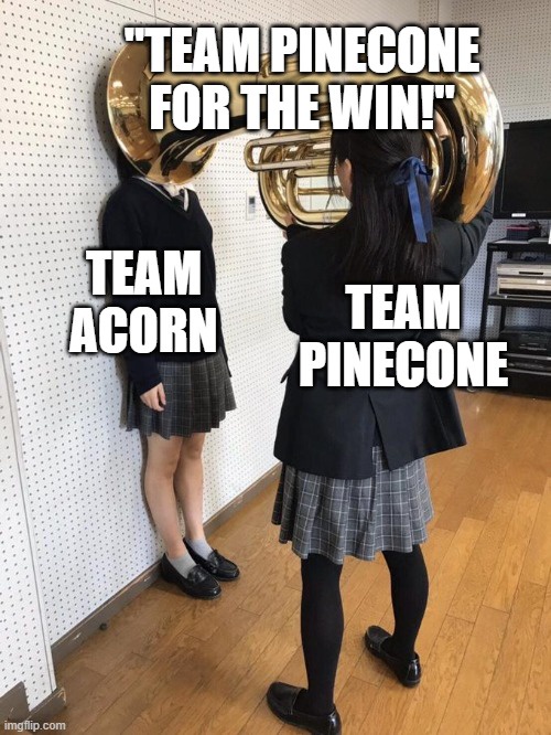My Team is the Ultimate Dream Team