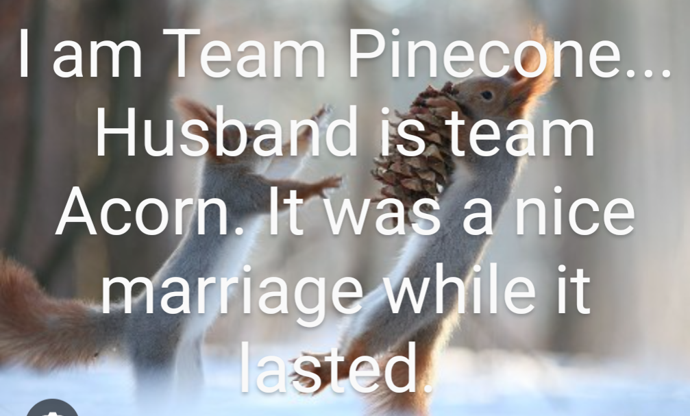 Team Pinecone: United We Stand!