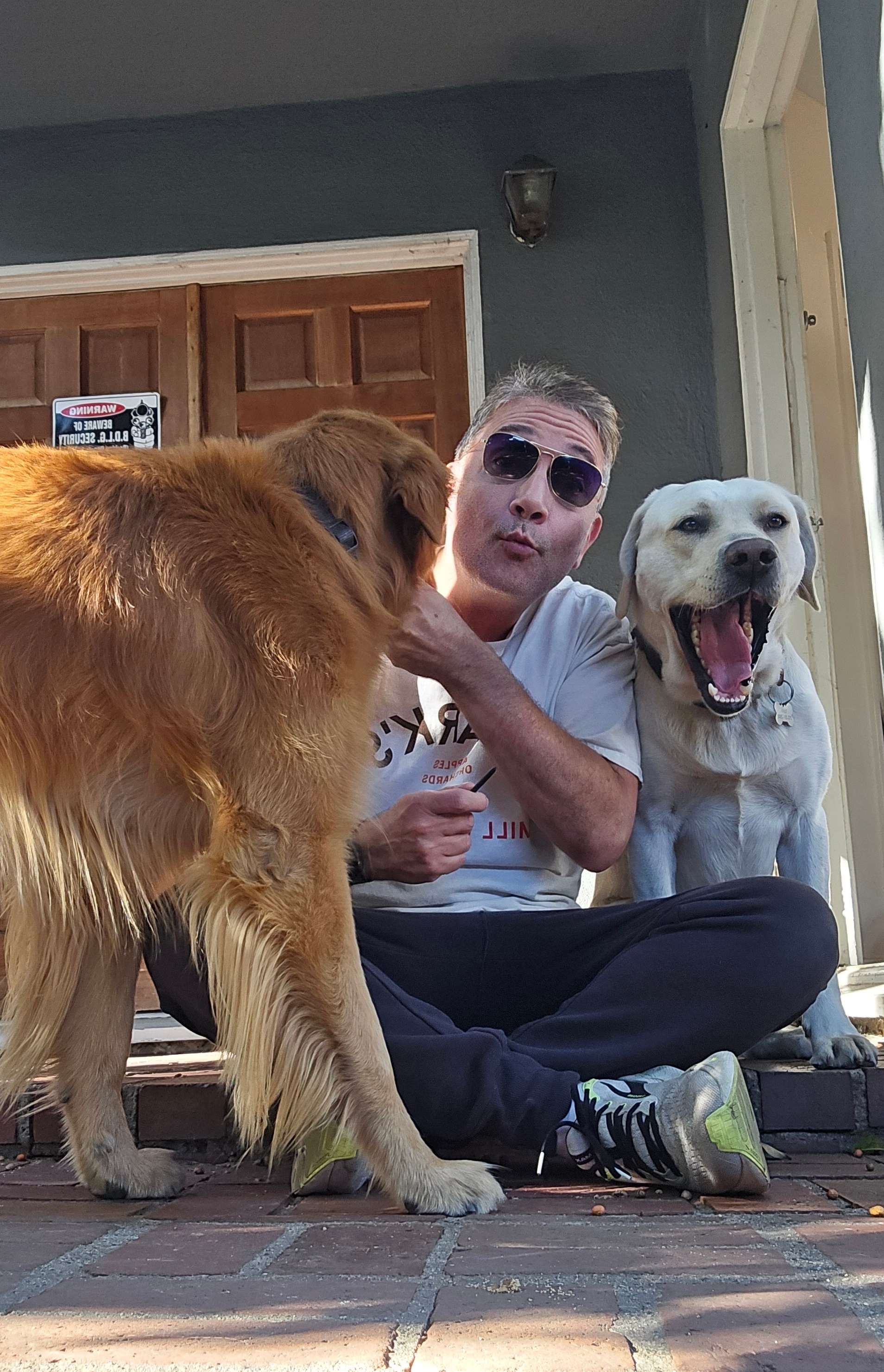 Thanksgiving Joy with Shadow and Chance