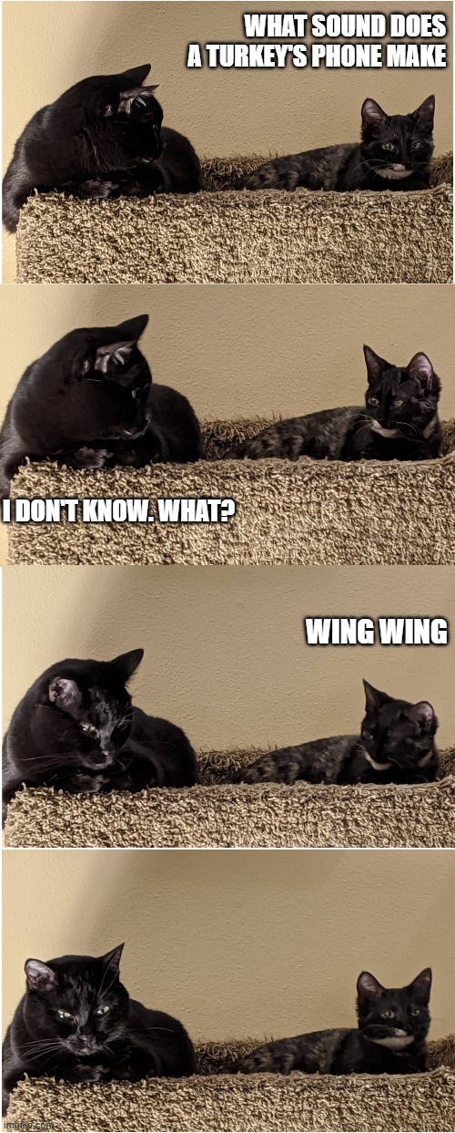 Meet Splunk and Smudge: The Dynamic Duo