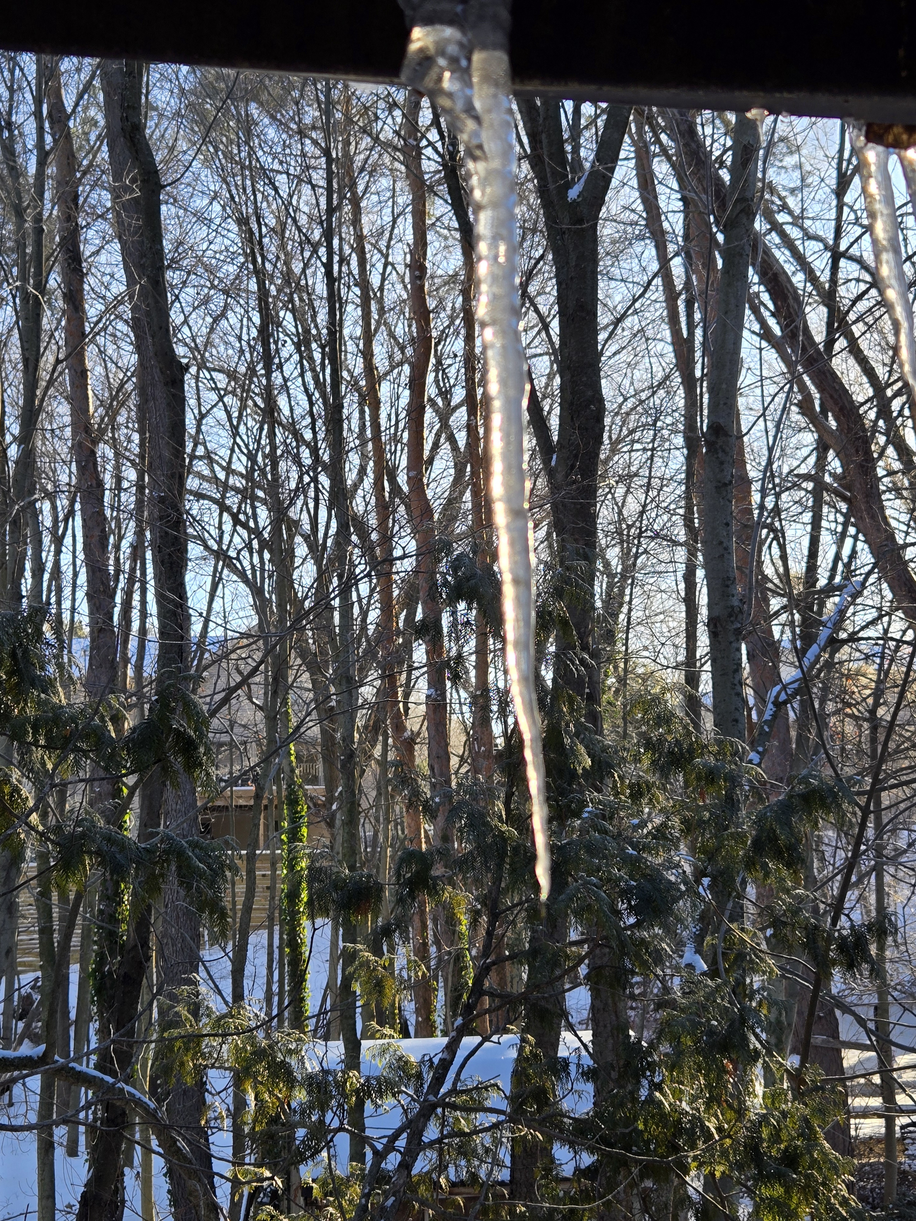 A Cozy Winter Day Off in Michigan