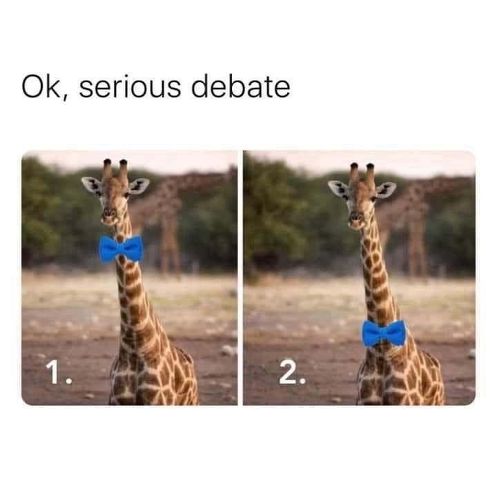 Straight from the Meme Vault: A Hidden Gem