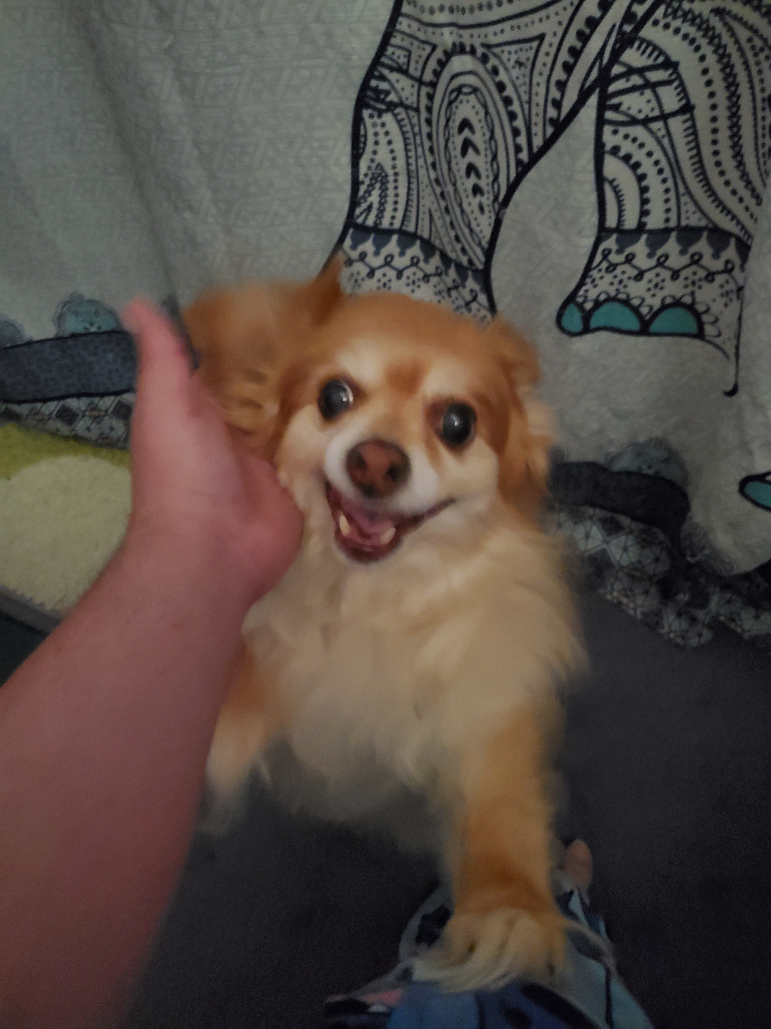 Toby's smile lights up the room