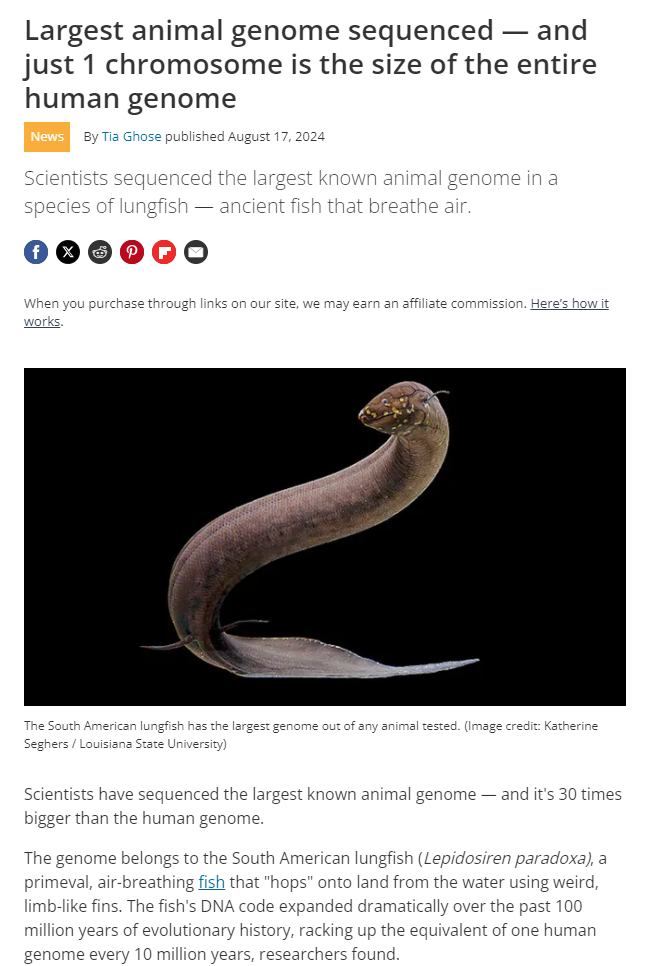Check Out This Fascinating New Scientific Discovery!