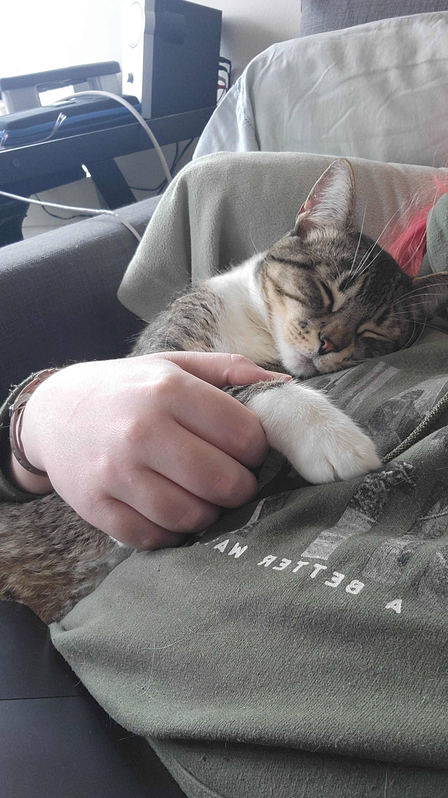 Caturday Cuteness: Spaghetti Napping Photos