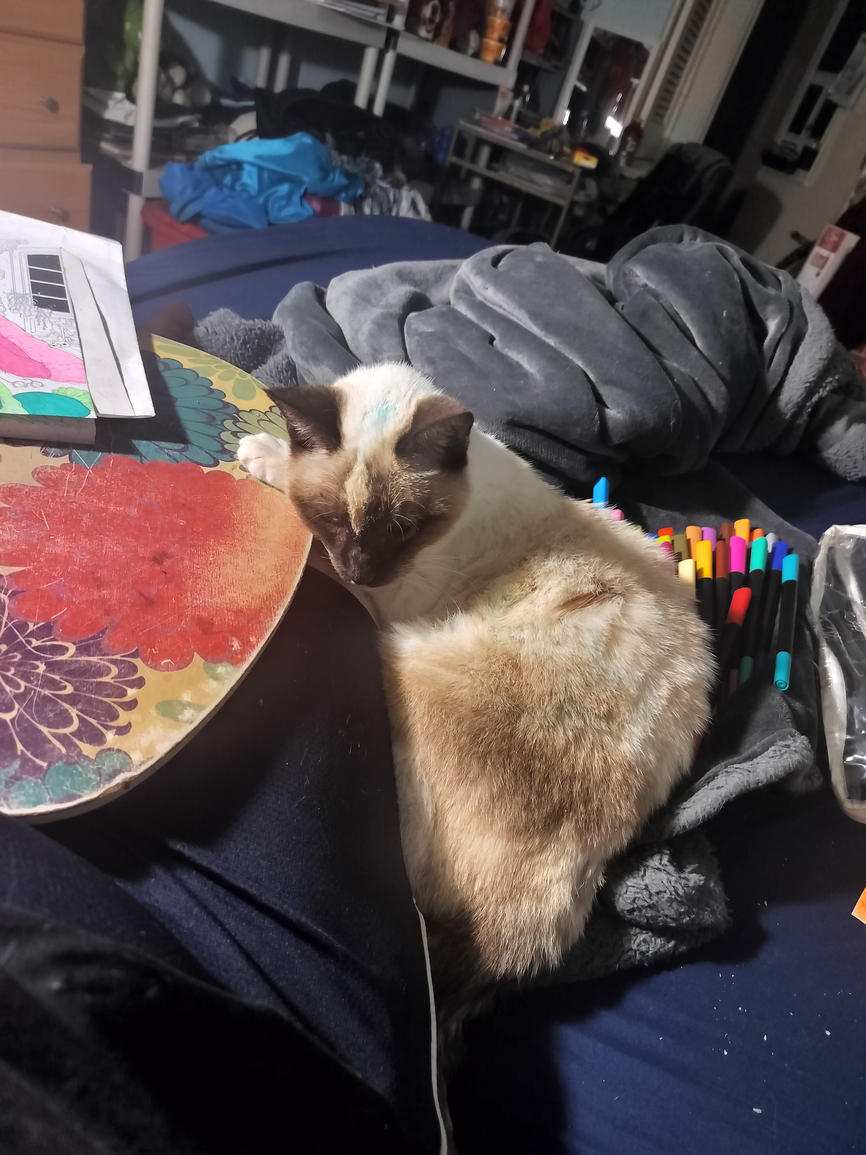 Always Gotta Stay Close to Me