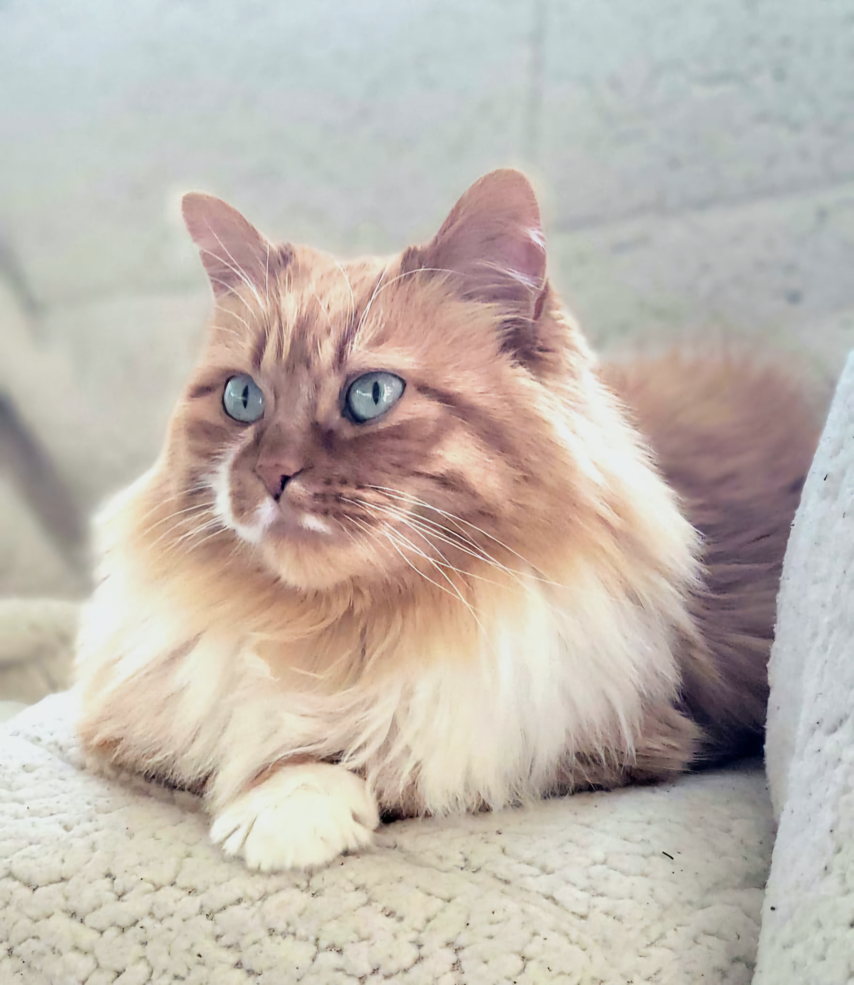 Your Daily Dose of Betty: Glamorous Edition
