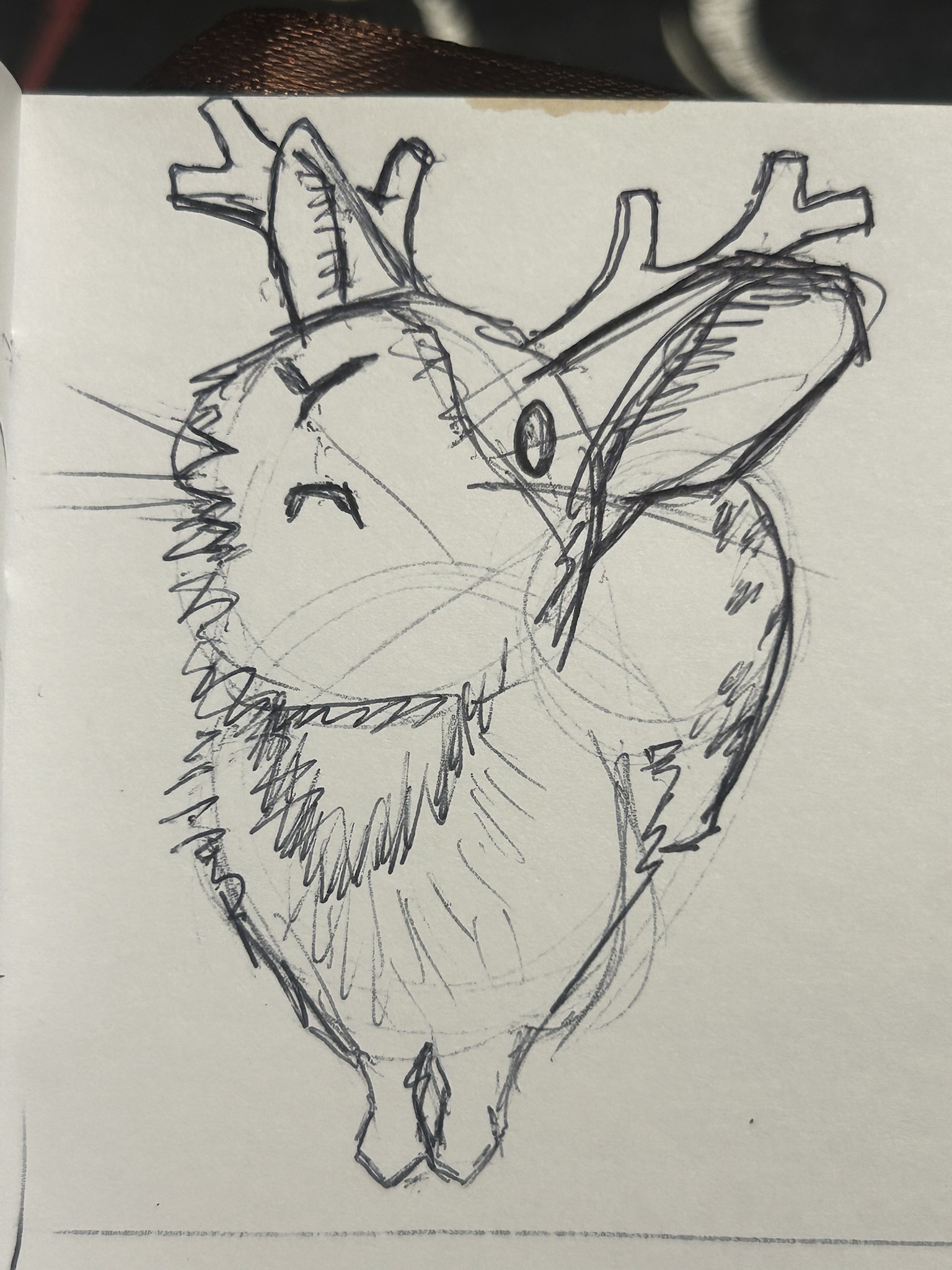 The Enigmatic Jackalope