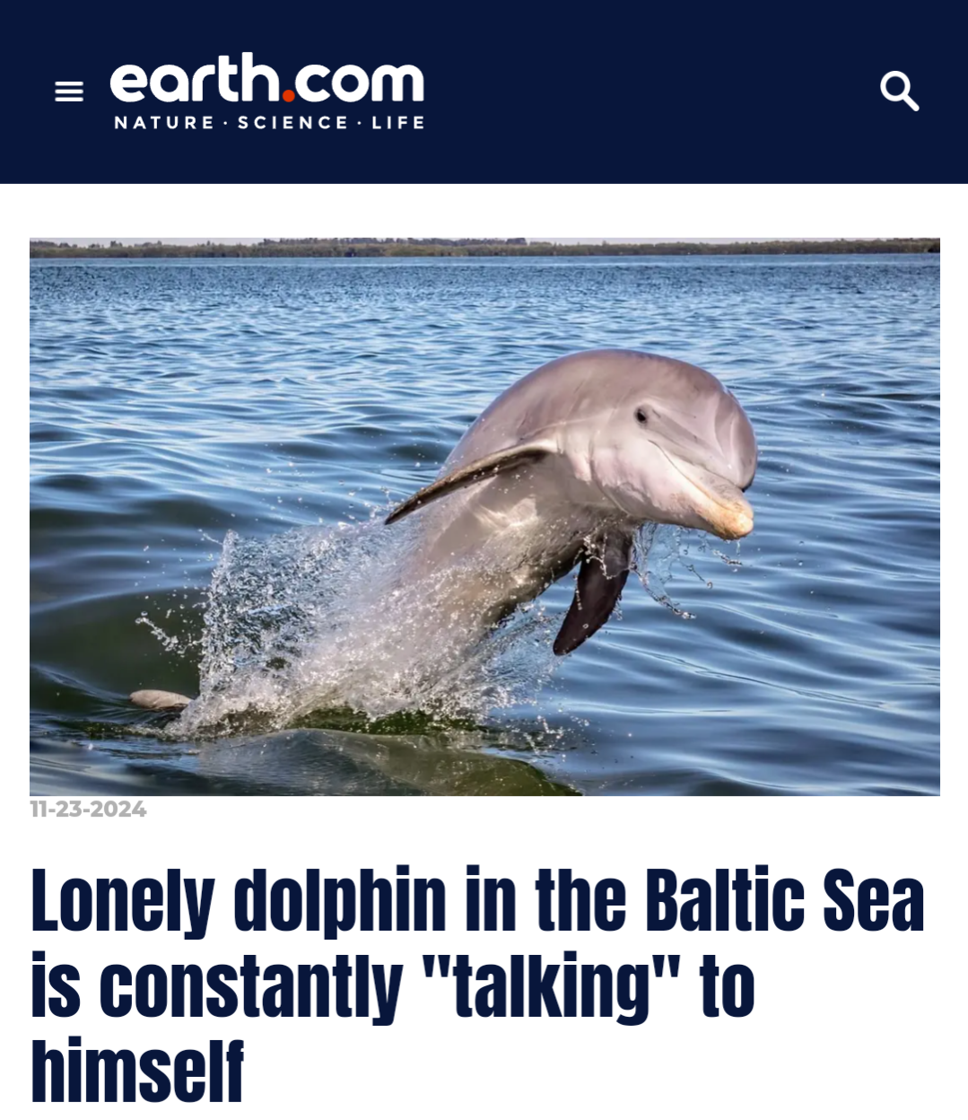 Meet My Spirit Animal