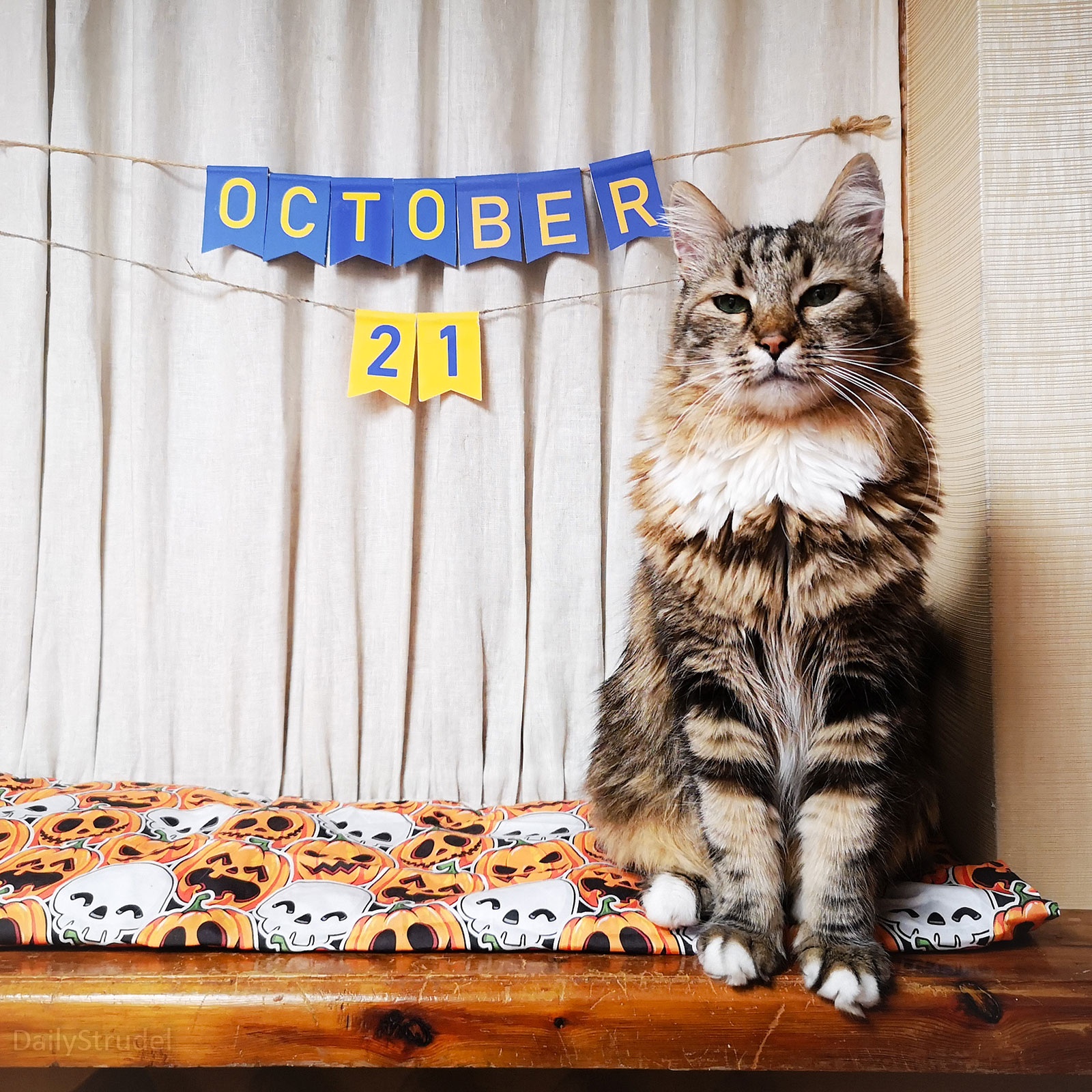 Mark Your Calendars: October 21