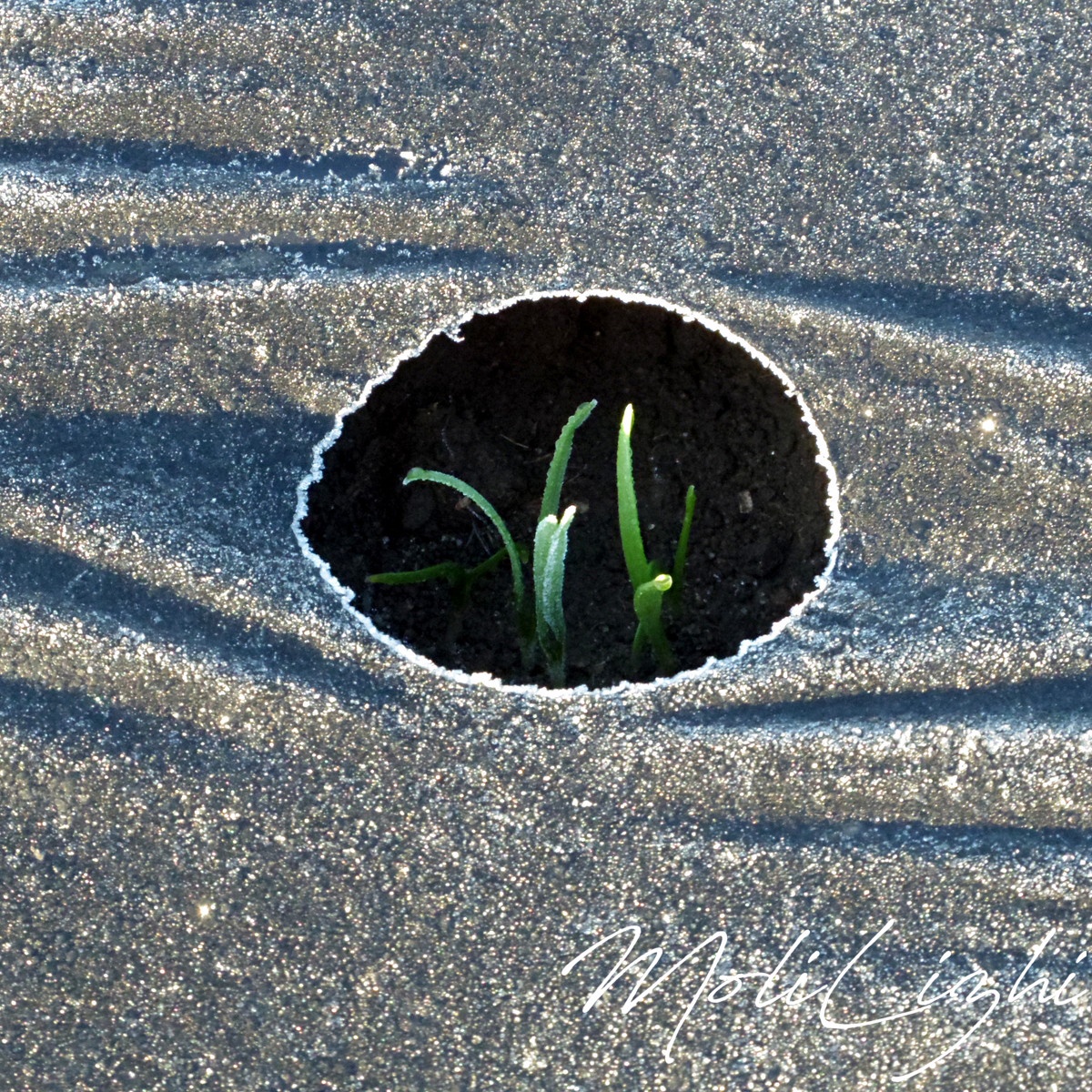 2024: A Year of Surprising Twists and Turns