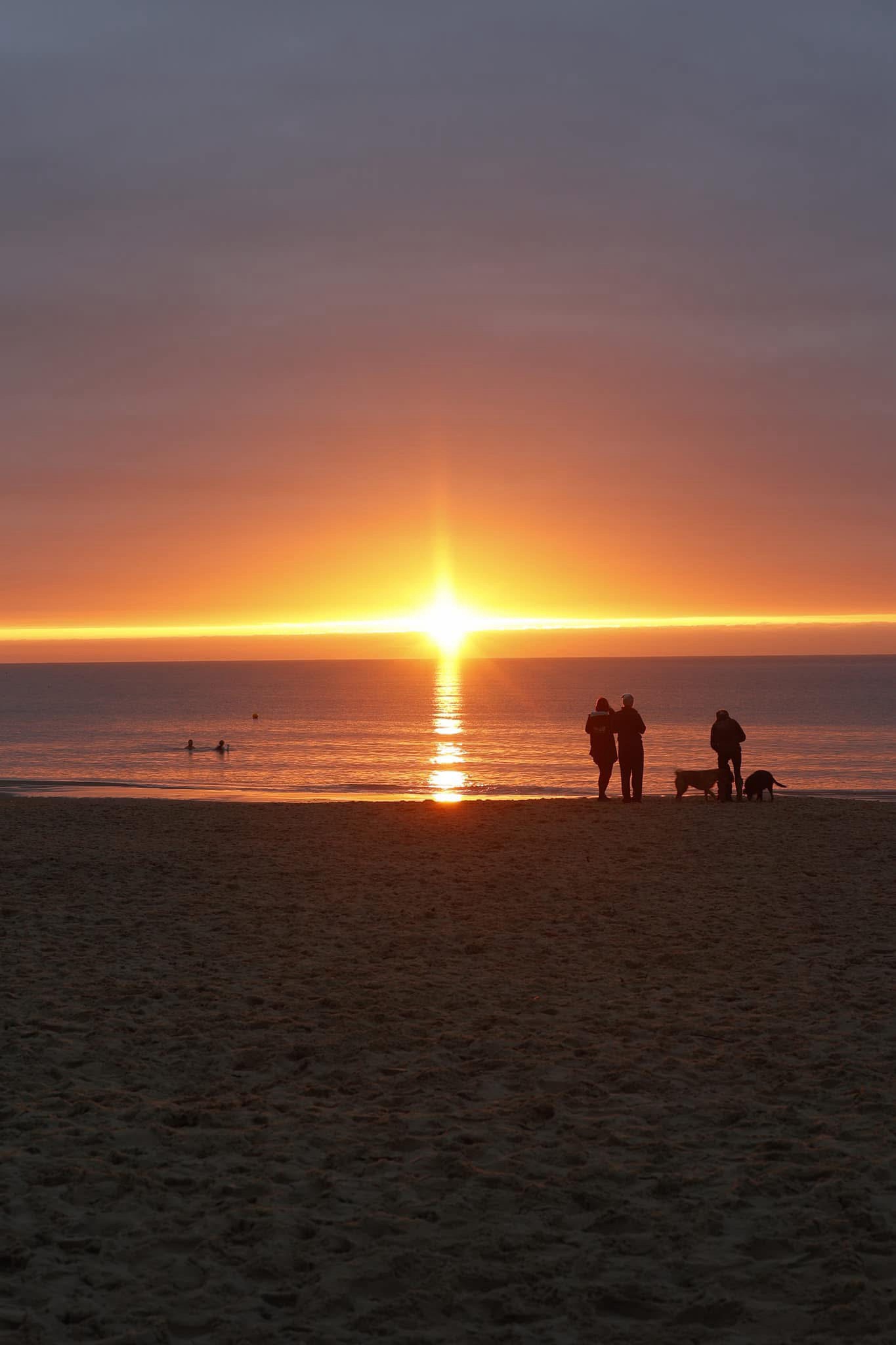 Mysterious Silhouettes: What Do They Reveal?