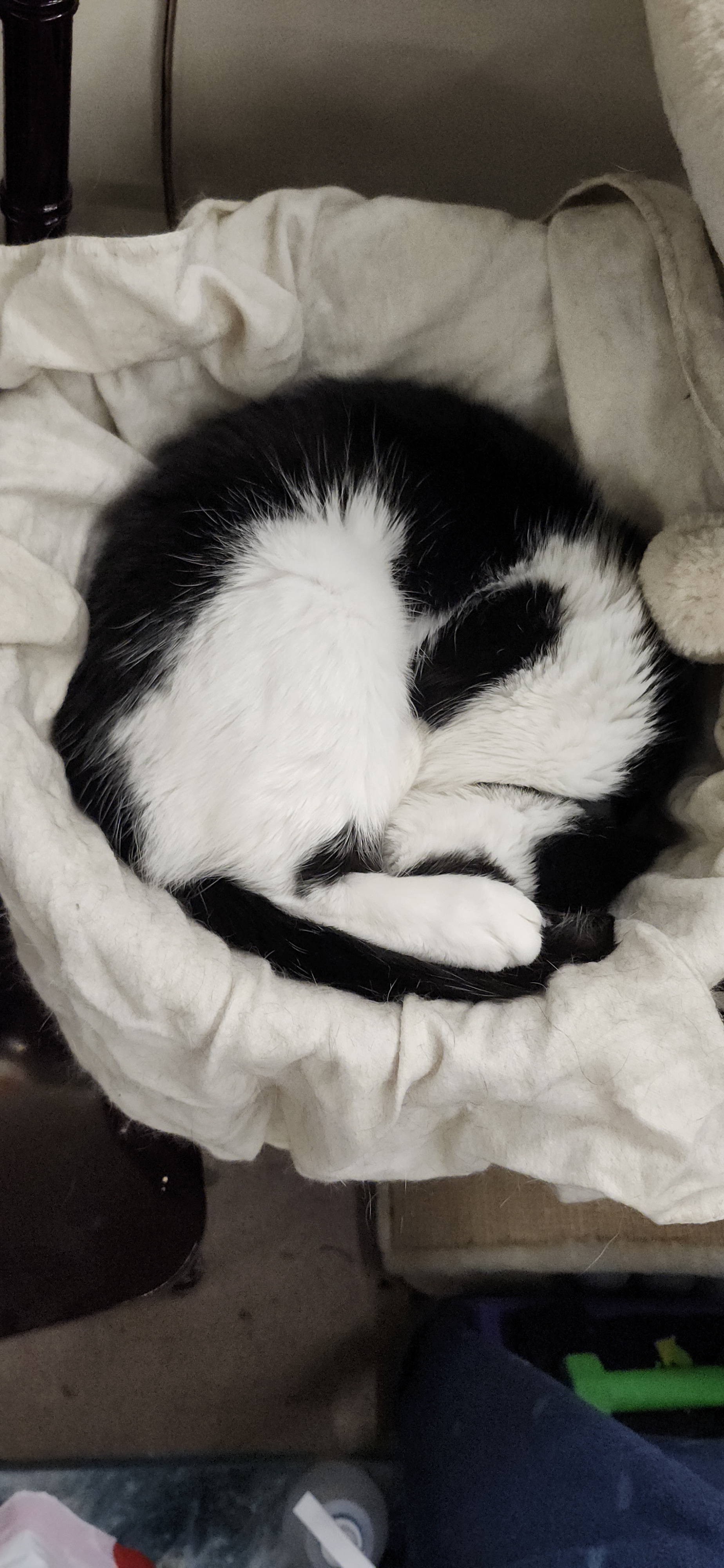 A Sweet Bowl of Honey