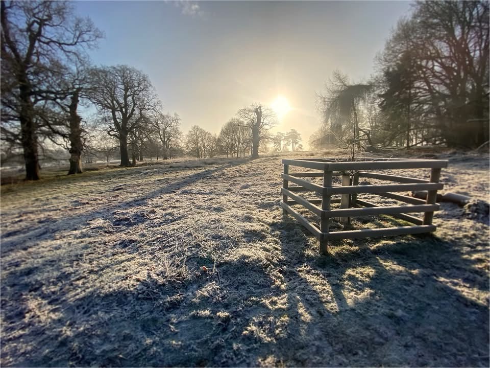 Chilly Vibes of a Frosty Morning