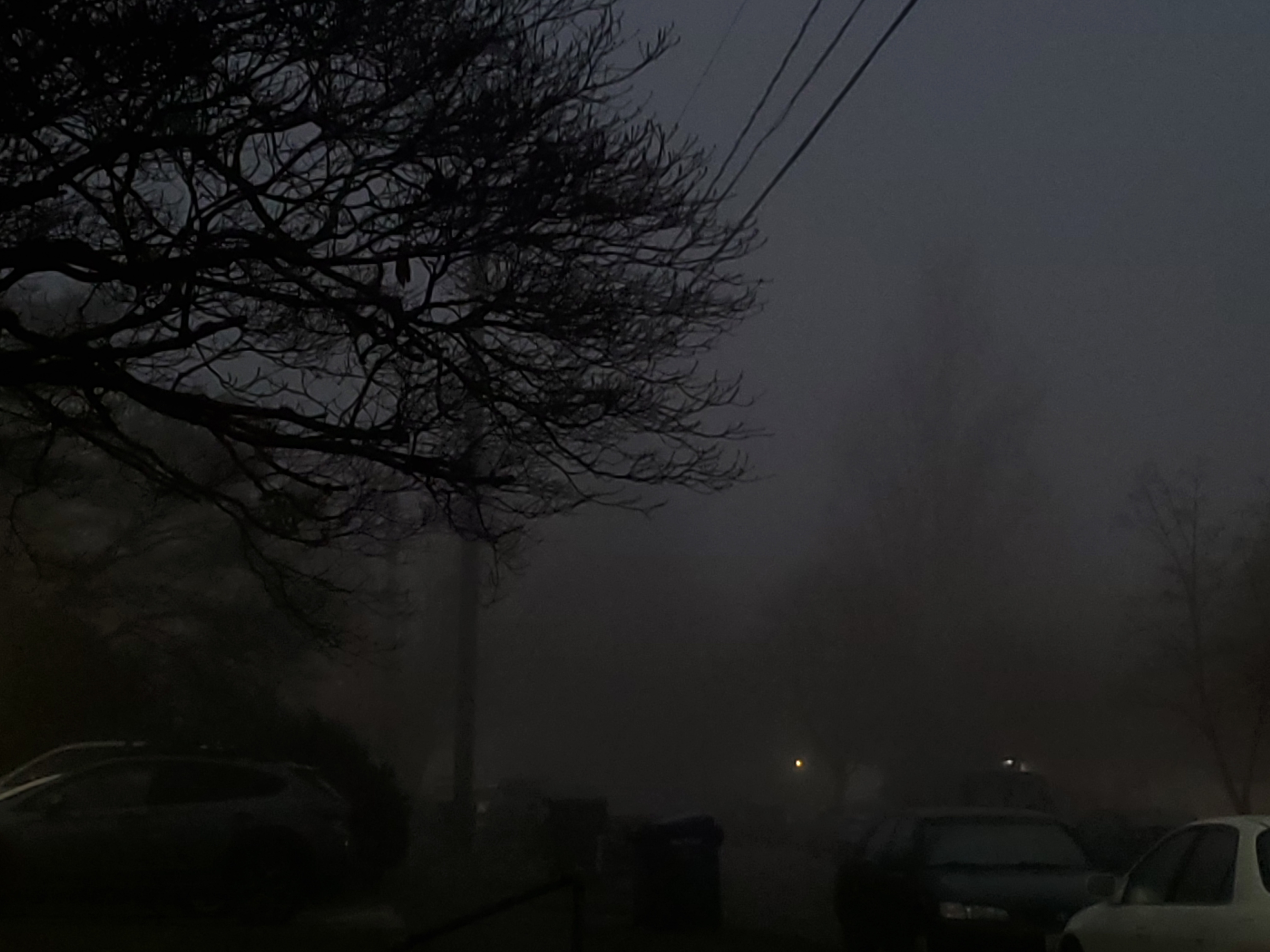 We Just Had a Week of Fog Roll In