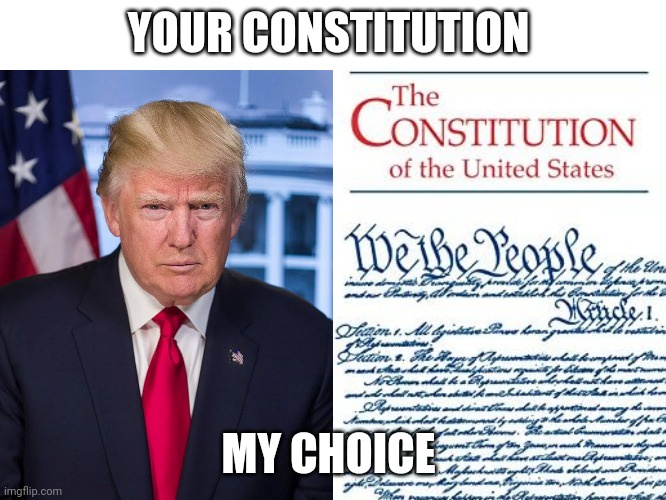 Our Constitution: The Choice That Defines Us