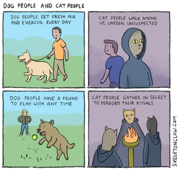 The Enigmatic Cat Man: A Mystery Unveiled