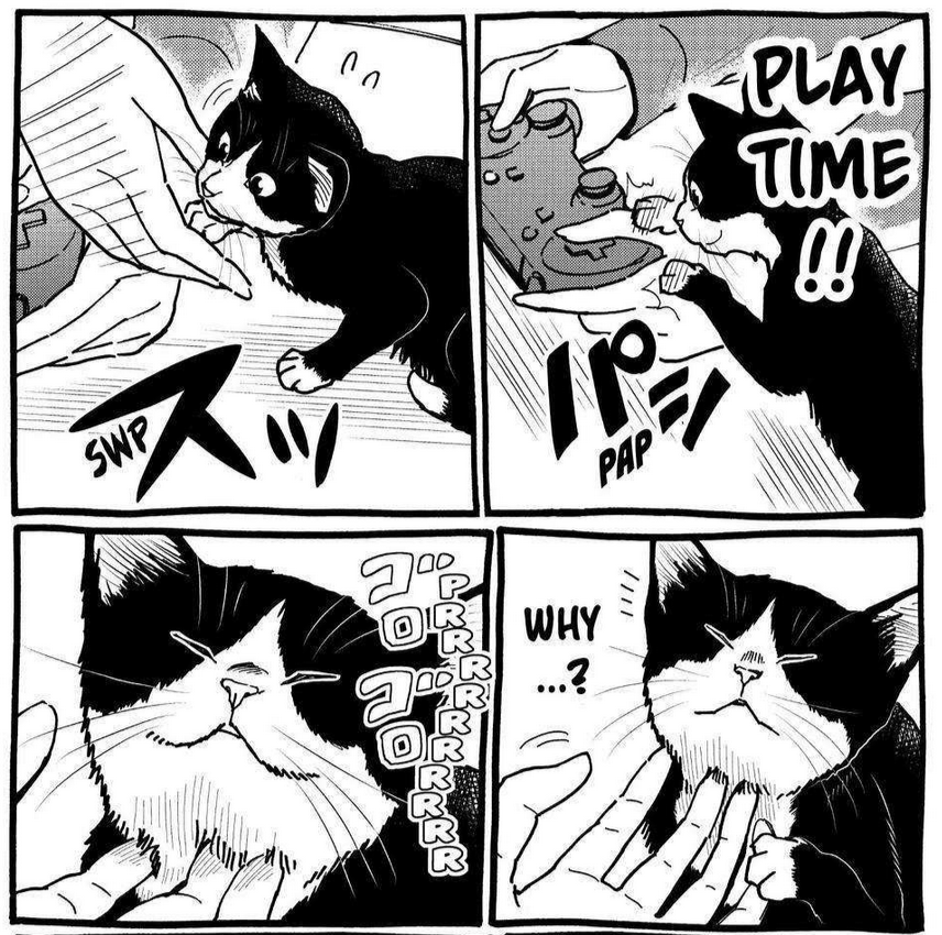 From the delightful series 'A Gamer Living With A Cat' – where gaming meets feline fun!