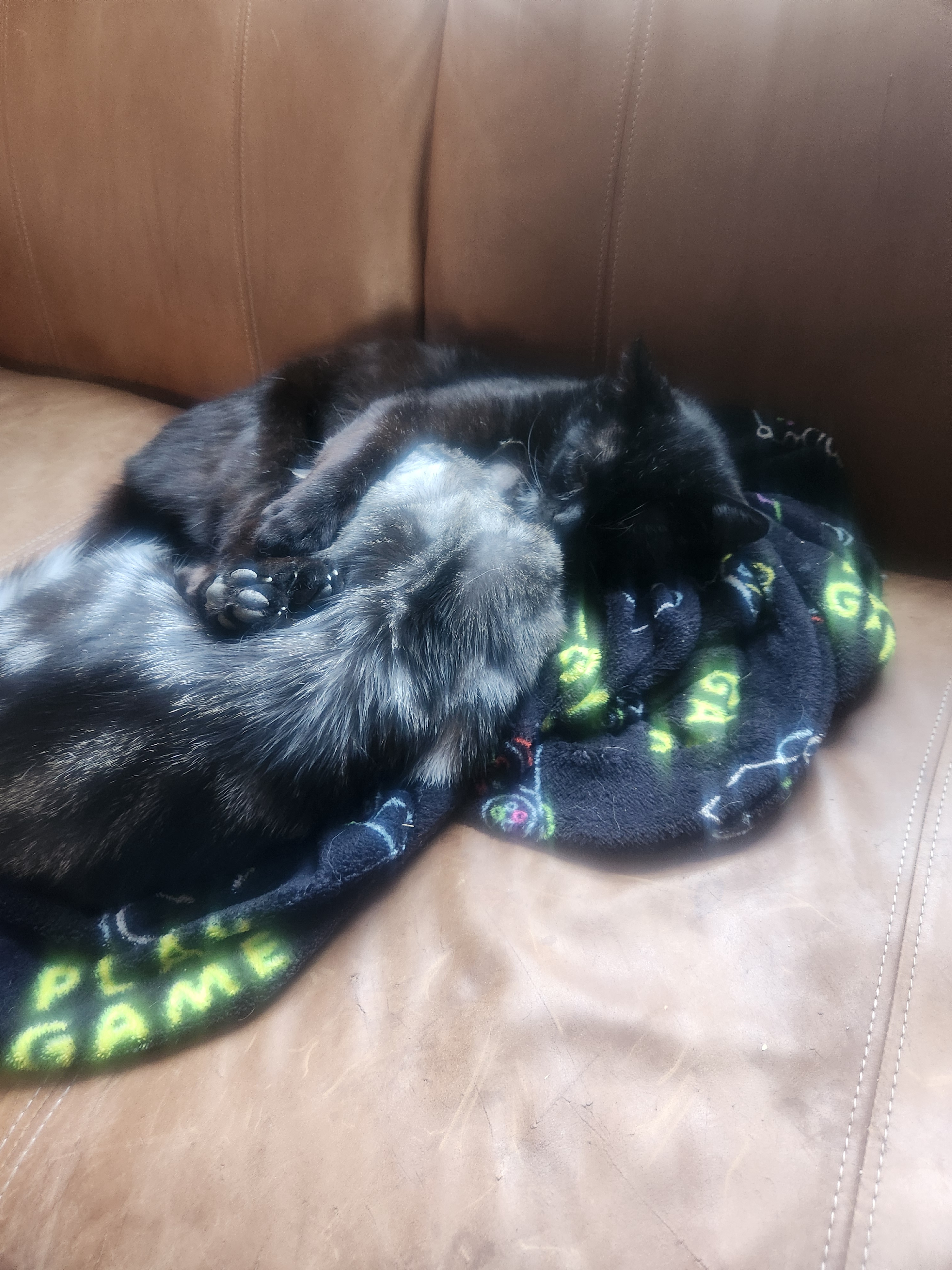 A Heartwarming Moment: Daddy Snuggles with His Son