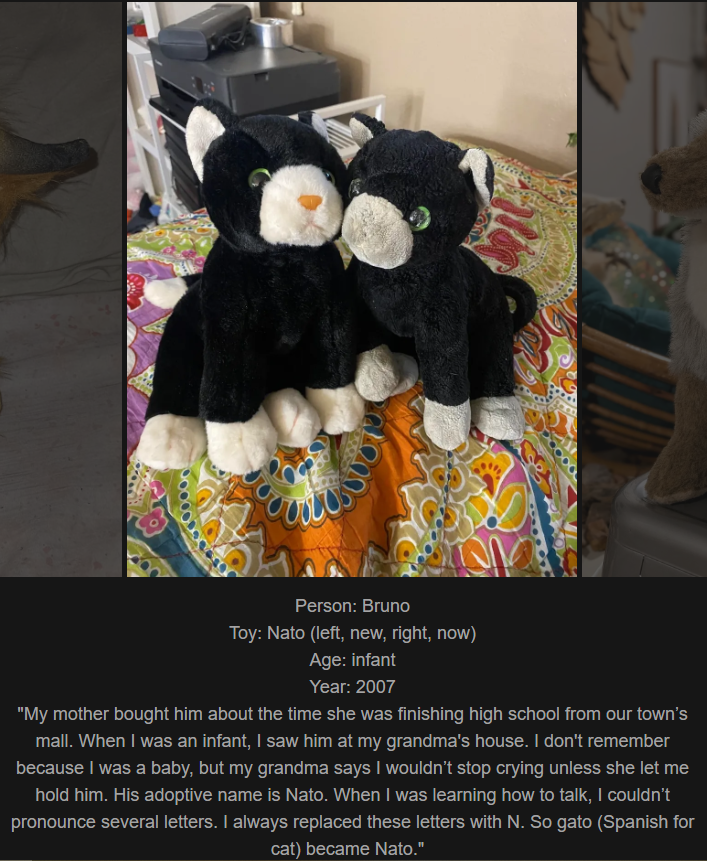 Day 830 - Join me on my website ww.saidtheskinhorse.com, where we celebrate the cherished bond with our childhood toys. Meet Nato, our latest addition!