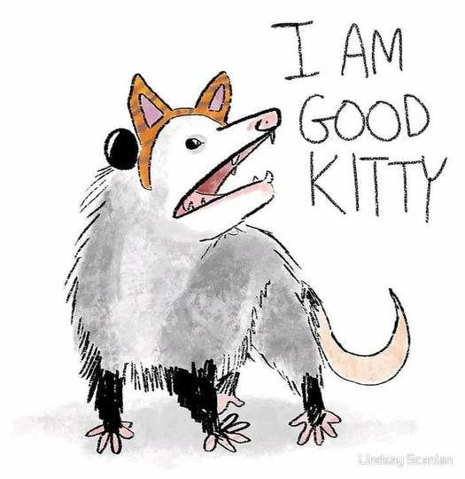 Of course I'm a cat, what else would I be?