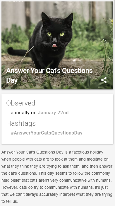 When the Coffee Hits: It's Time for the Dump on Answer Your Cat's Questions Day