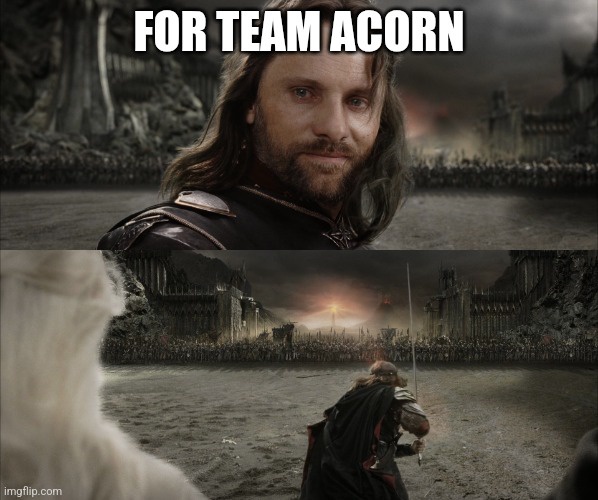 Let's go, acorn squad!