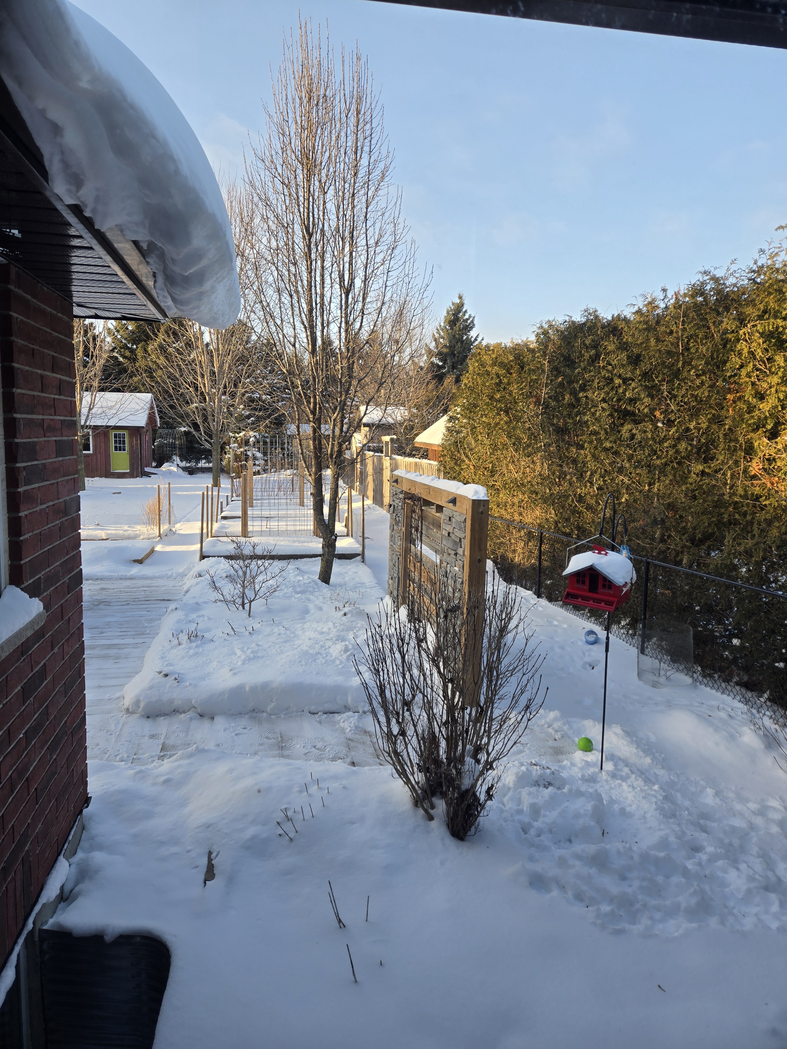 The Events of January 6th Unfolded