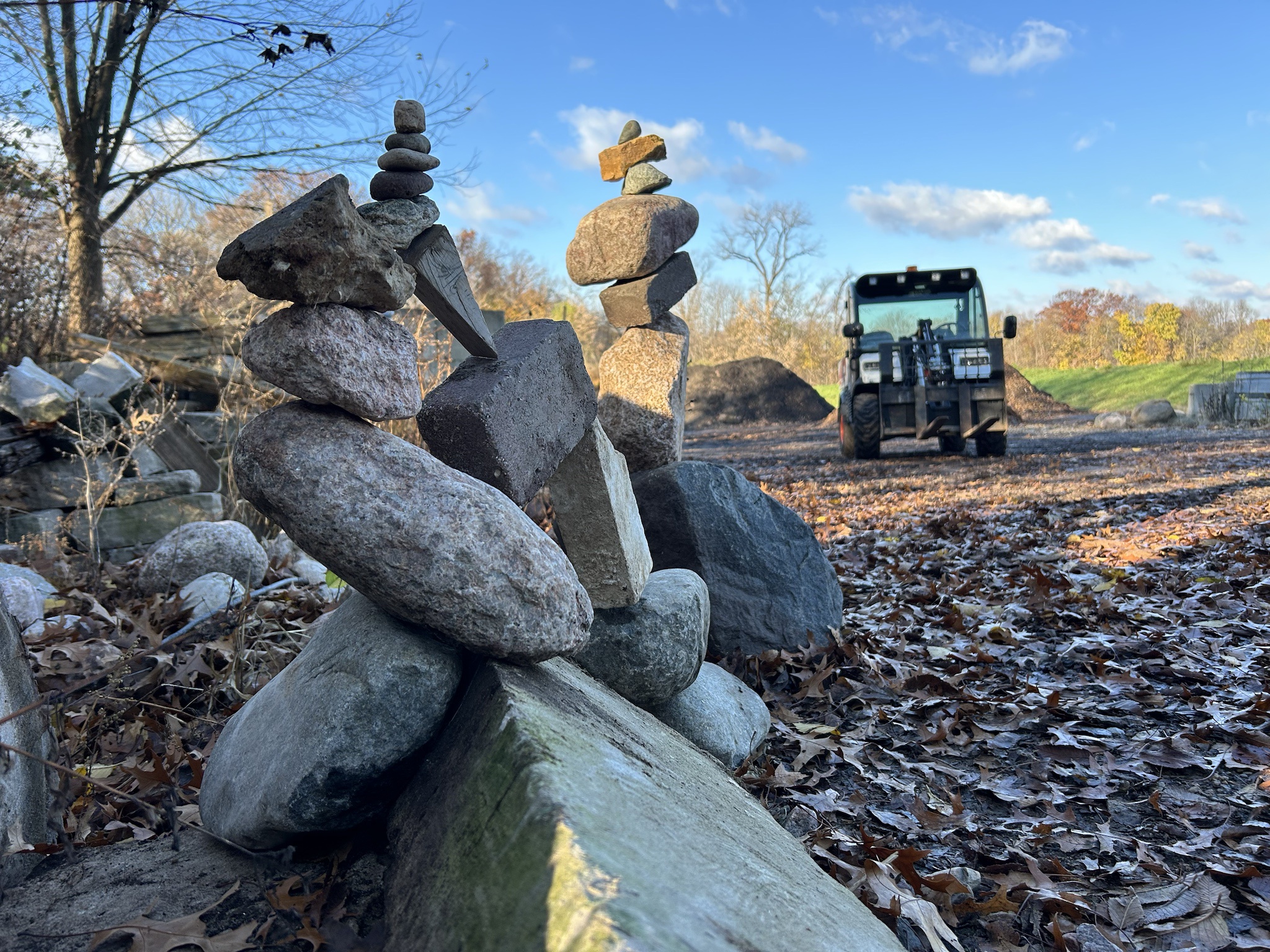 Striving for Balance in Life's Chaos
